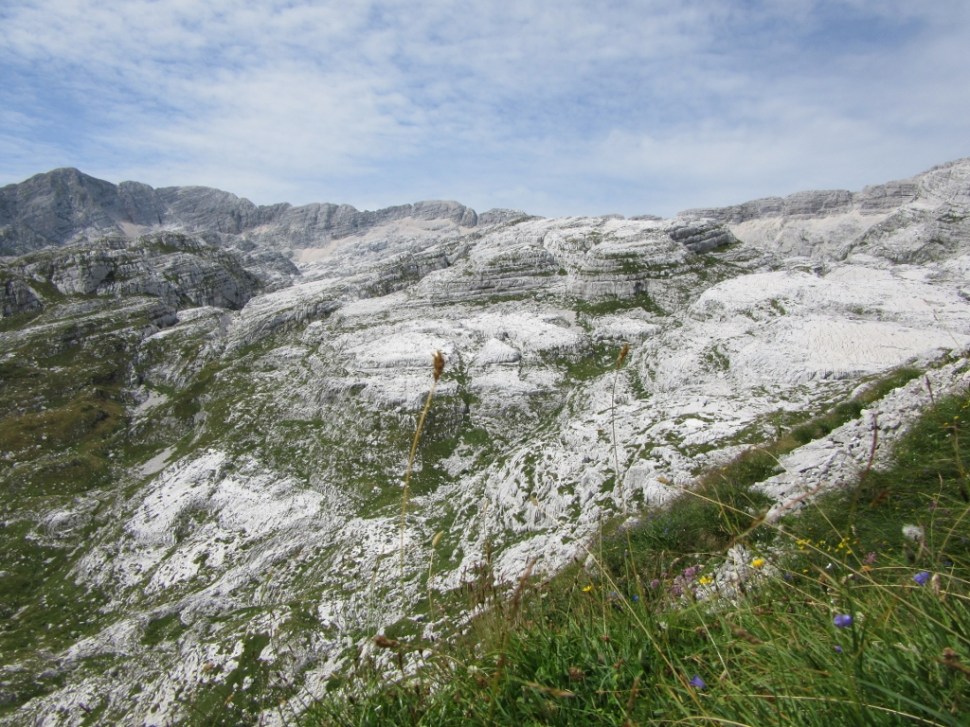 IMG_0208 (1024 x 768)