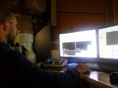 CAM04930 (800 x 600)