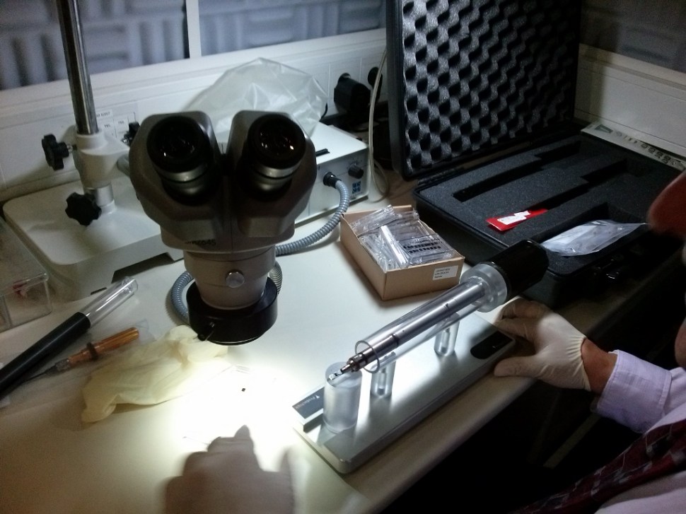 CAM05239 (1024 x 768)