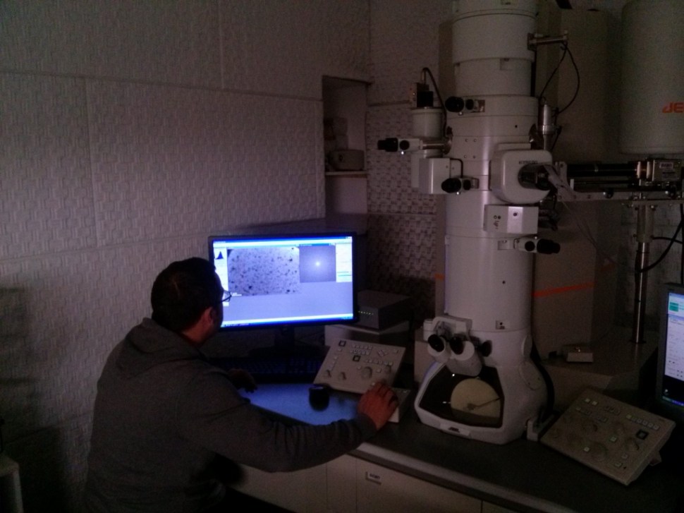 CAM05724 (1024 x 768)