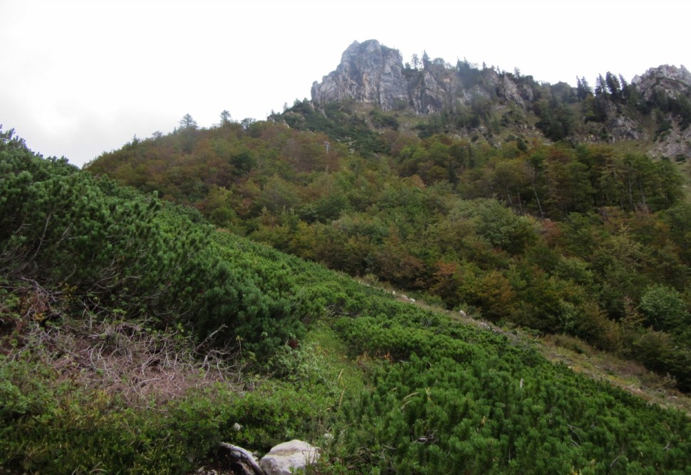 IMG_0004 (1280 x 882)