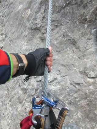 IMG_0023 (960 x 1280)