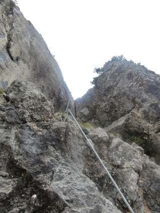 IMG_0055 (960 x 1280)