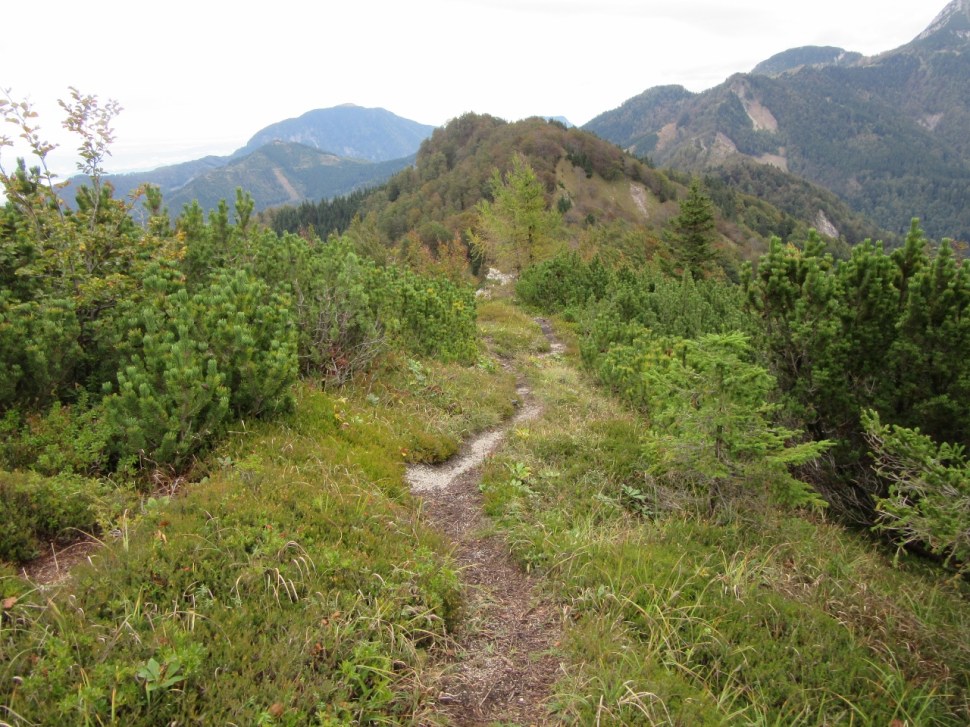 IMG_0086 (1280 x 960)