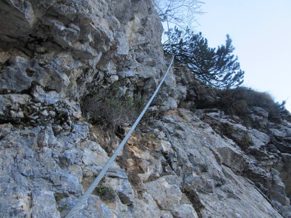 11050680_10208045157950446_3921442398738423221_o