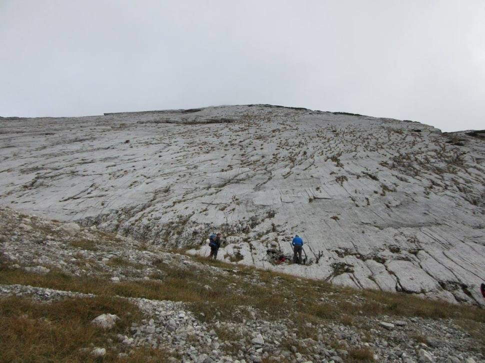 12138318_10208005372155826_6055334419727864355_o