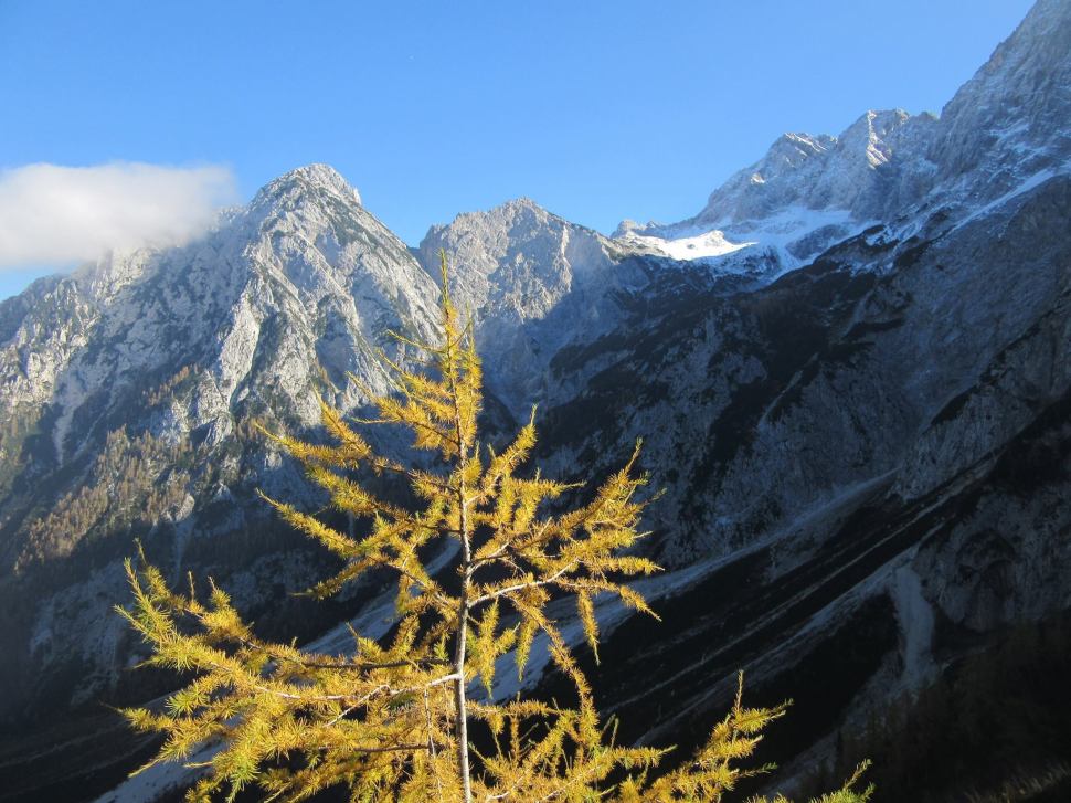 12186596_10208045159670489_3228542493198883661_o