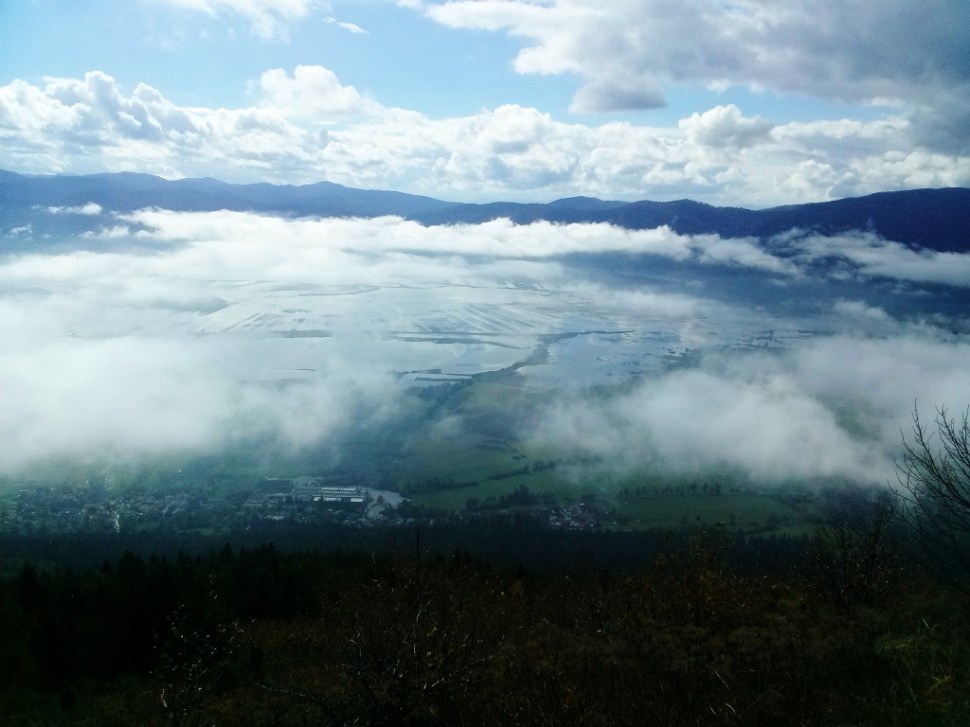 CAM05886 (1024 x 768)