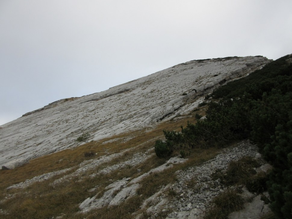 IMG_0016 (1024 x 768)