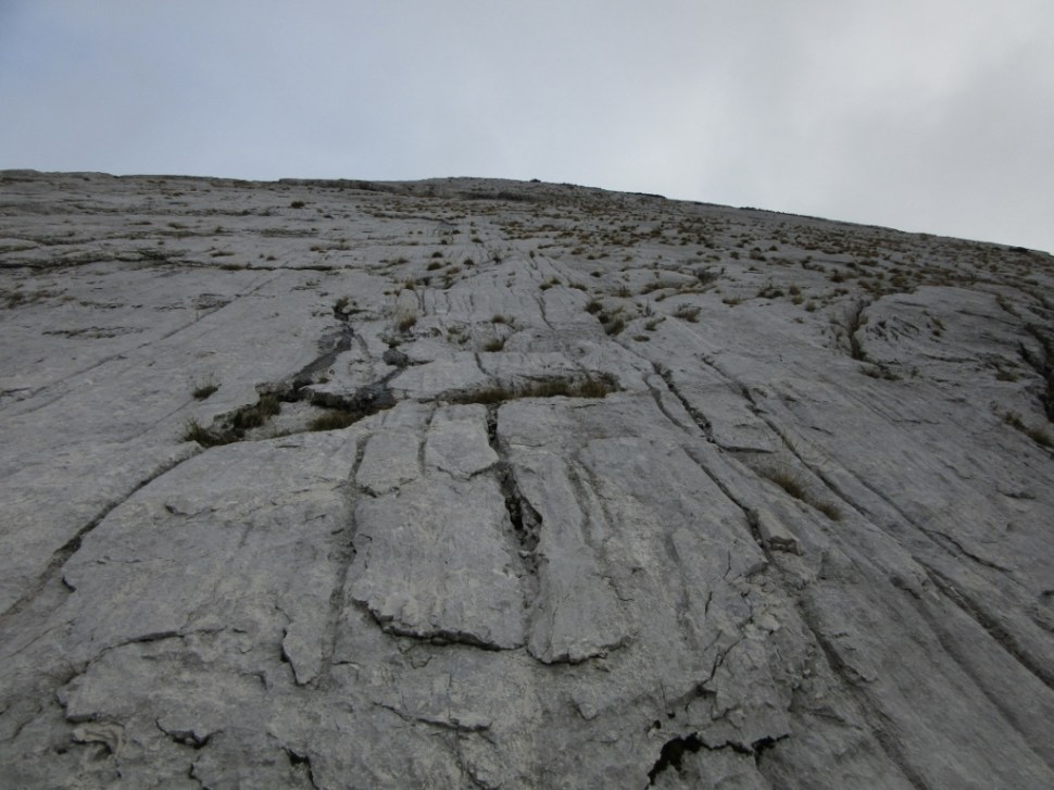 IMG_0023 (1024 x 768)