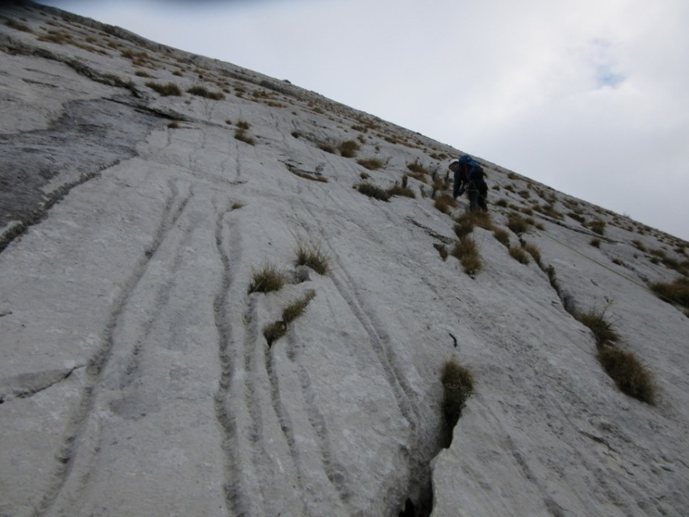 IMG_0045 (1024 x 768)