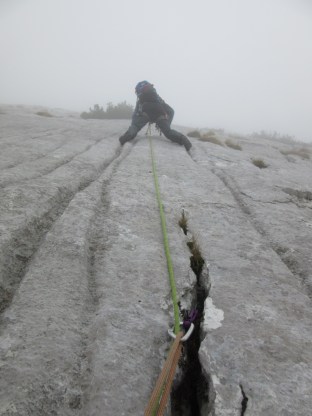 IMG_0128 (768 x 1024)