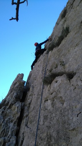 DSC_0321 (576 x 1024)