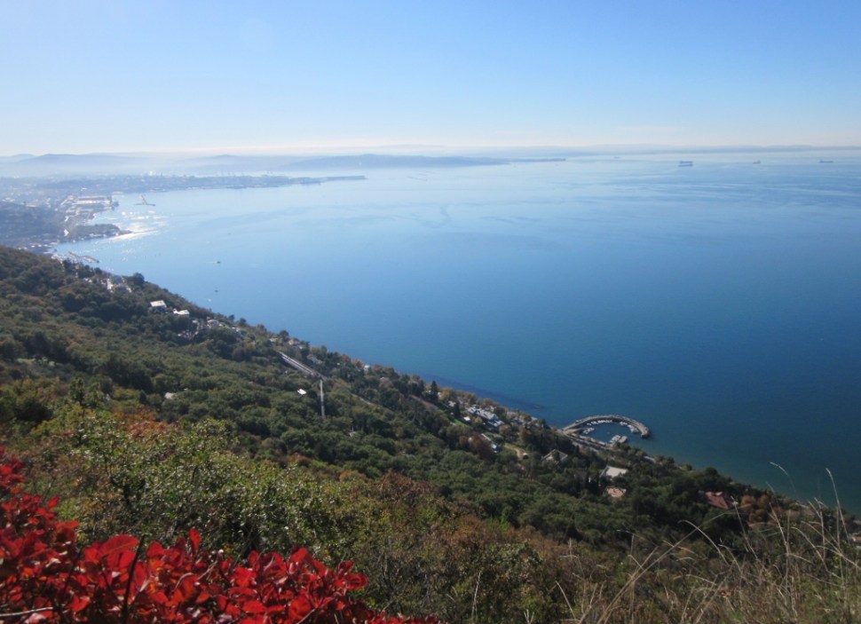 Napoleonika 08112015 (1) (1024 x 743)