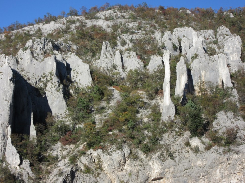 Vela draga 01112015 (190) (1024 x 768)