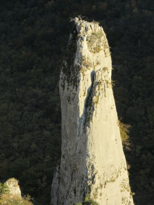 Vela draga 01112015 (237) (768 x 1024)