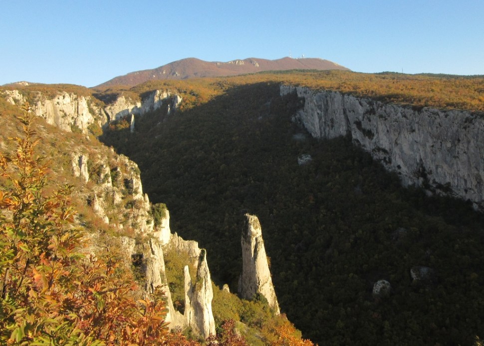 Vela draga 01112015 (249) (1024 x 732)