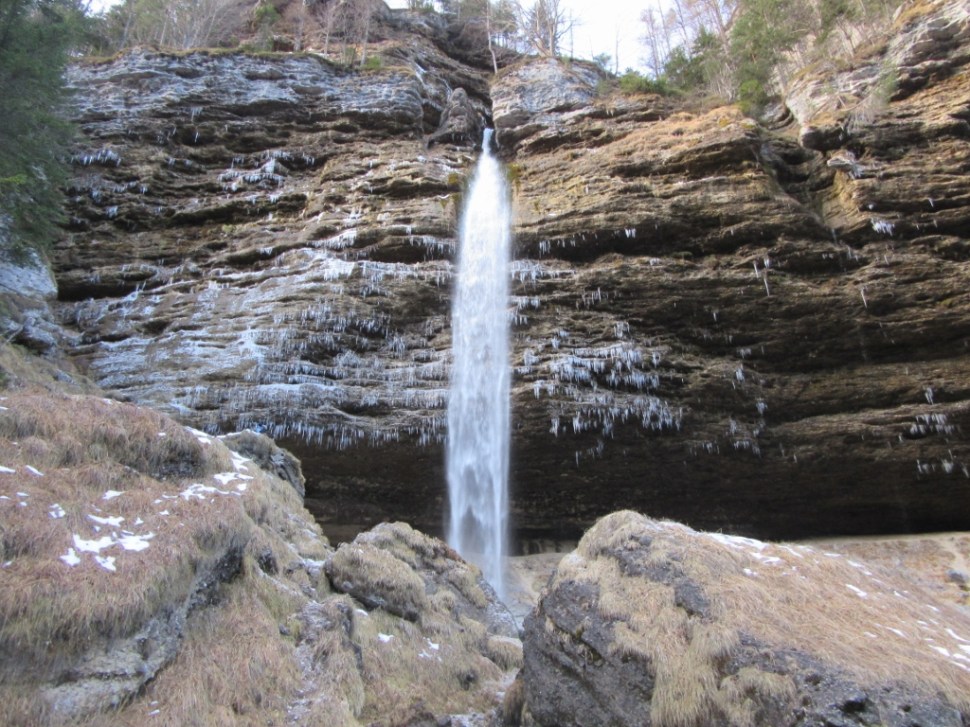 Grančišče (154) (1024 x 768).jpg