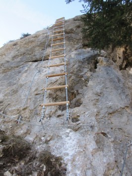 Grančišče (35) (768 x 1024)