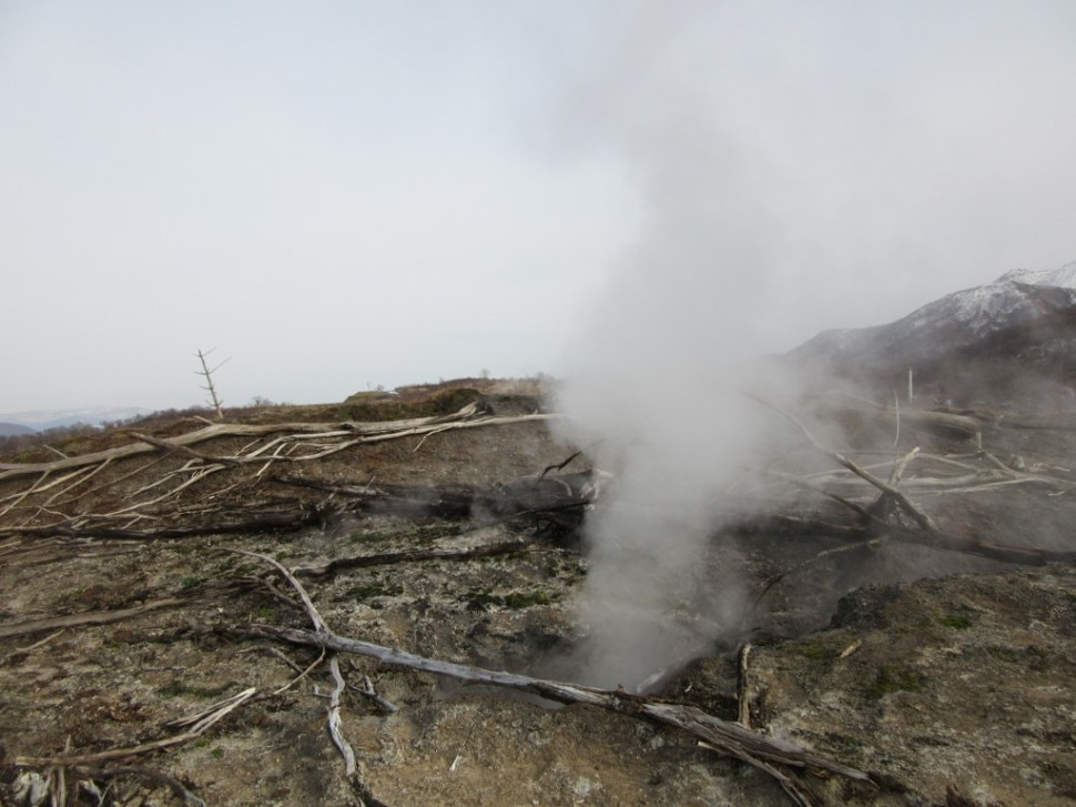 Japonska 10 (361) (1024 x 768).jpg