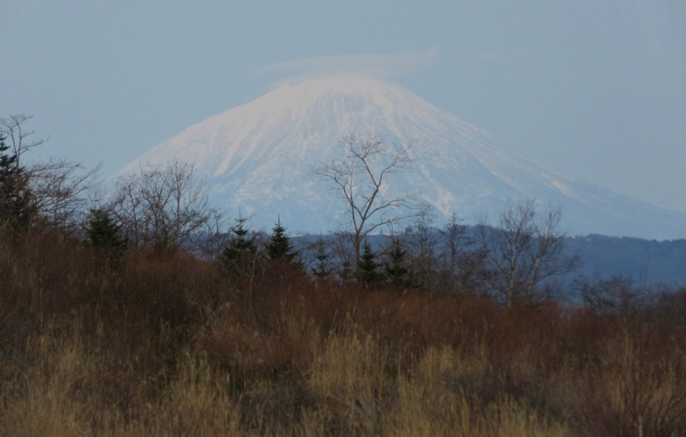 Japonska 10 (402) – kopija (1024 x 653).jpg