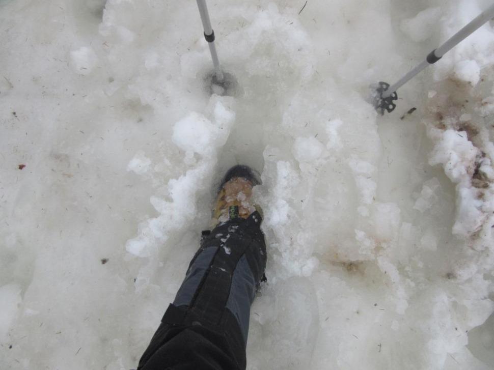 Centralna 06012015 (119)