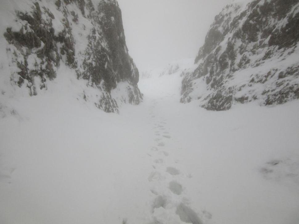 Centralna 06012015 (47)