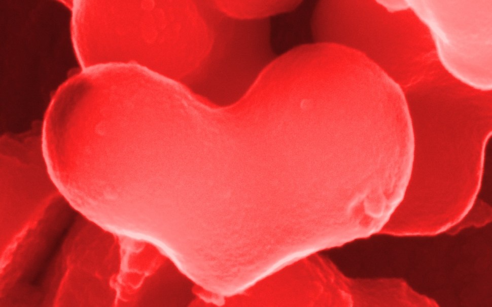 30102015_403 (1280 x 801).jpg