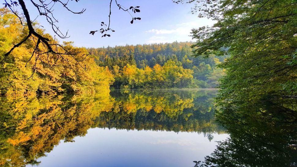 21765612_10209937112119936_8467770372847498305_o