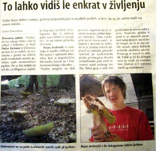 jurček gorenjsk iglas