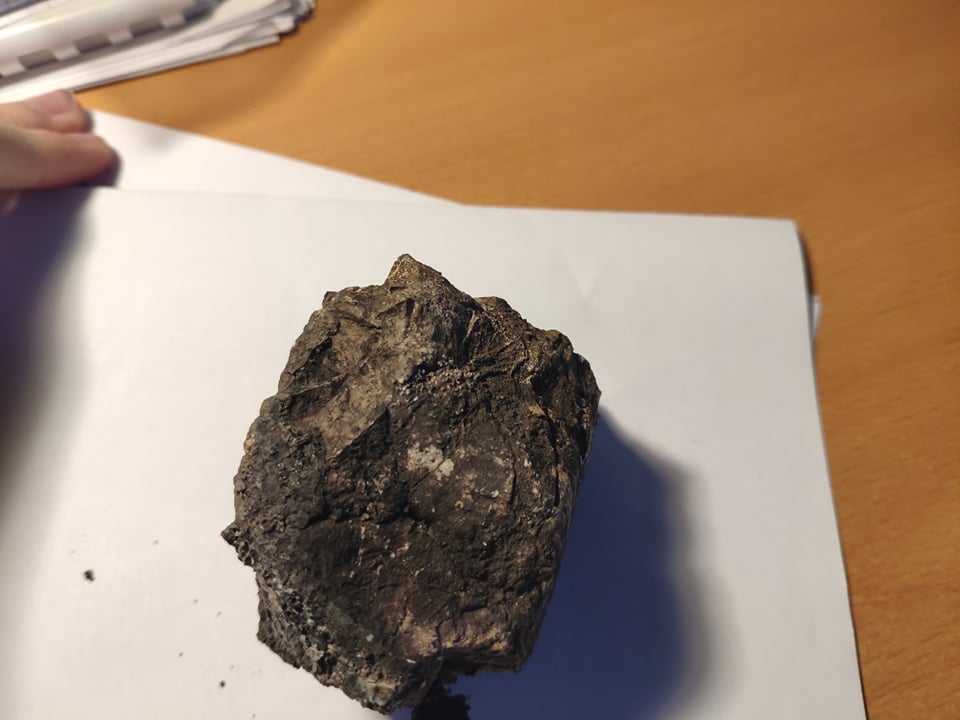 Anže T. / ni prave oblike