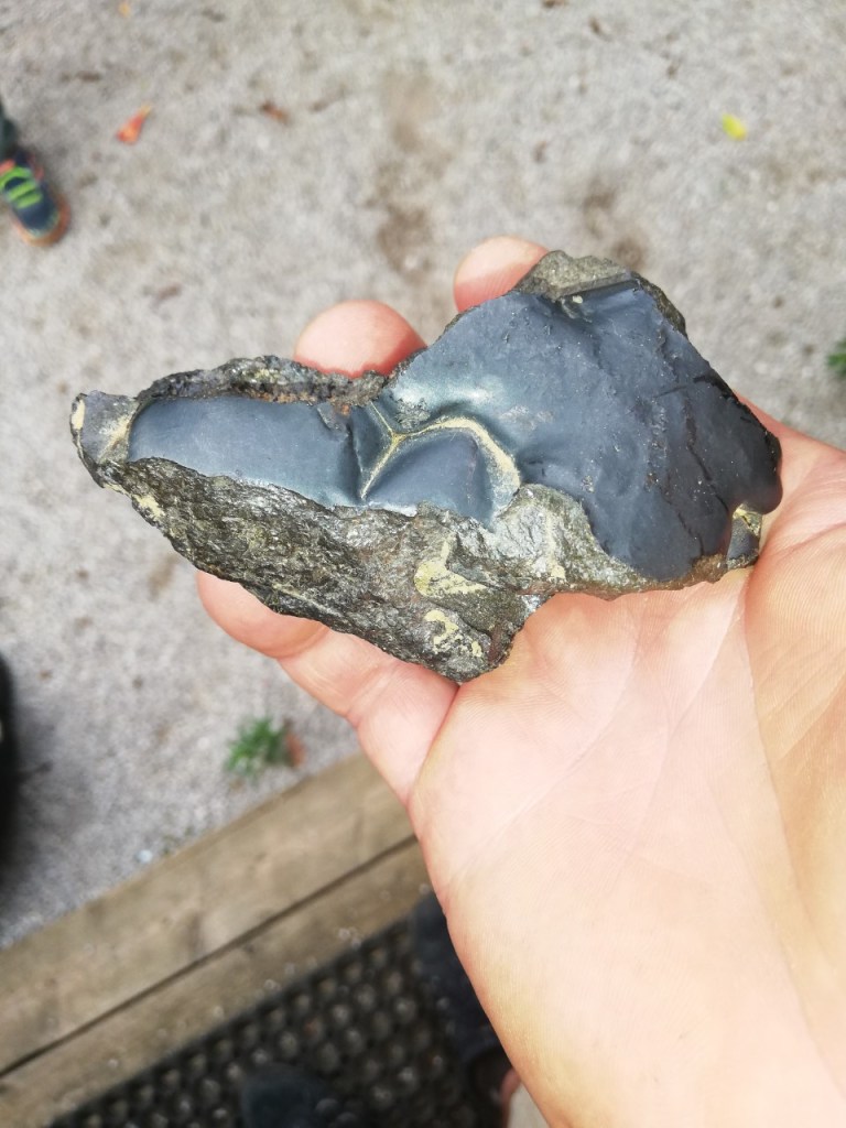 Davor Z. / to ni žgalna skorajica