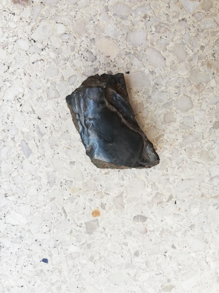 Jaša K. / najbrž gre za del konkecije