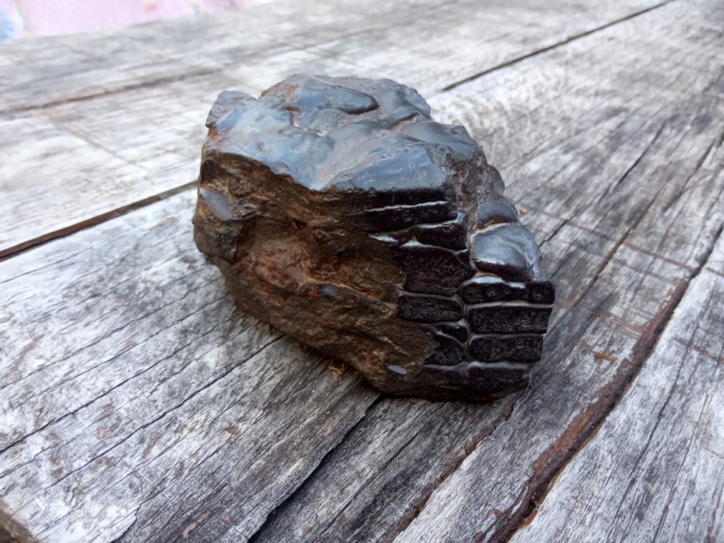 Katja S. / meteoriti niso nikoli tako oglati