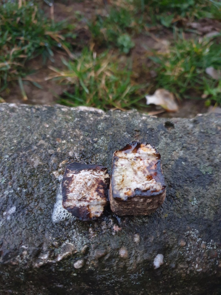 Matej R. / ni žgalne skorjice