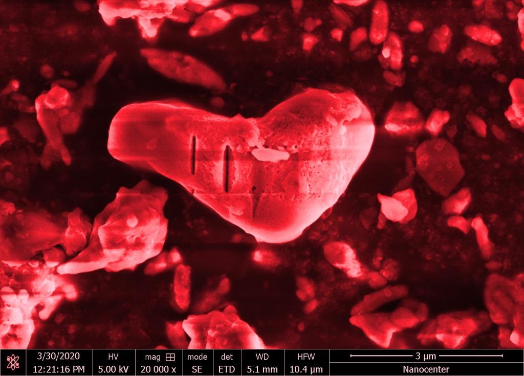 Med zrni peska sem našel tudi 5 μm velikega srčka