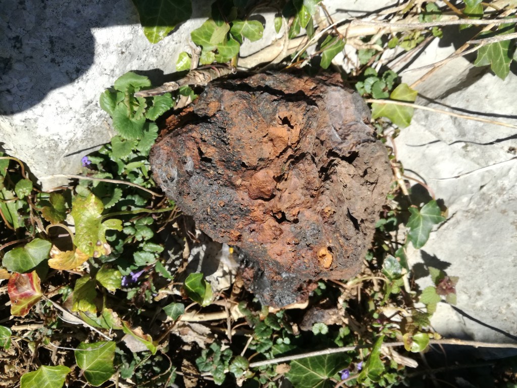 Srečko D. / meteoriti niso nikoli tako nehomogeni