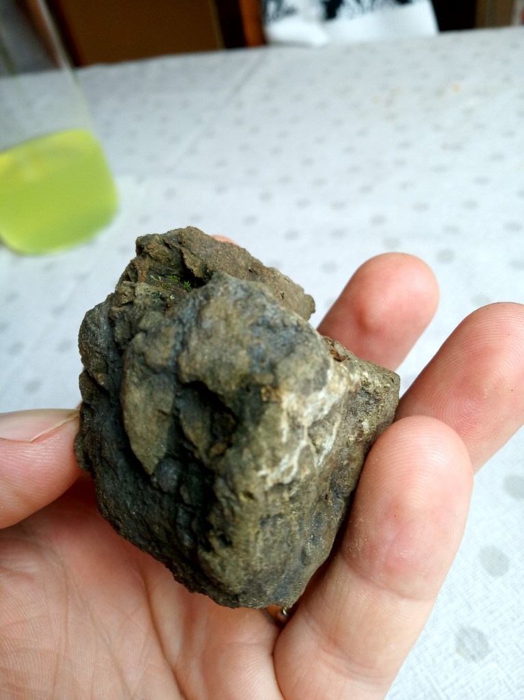 Uroš in Valentina / ni magneten