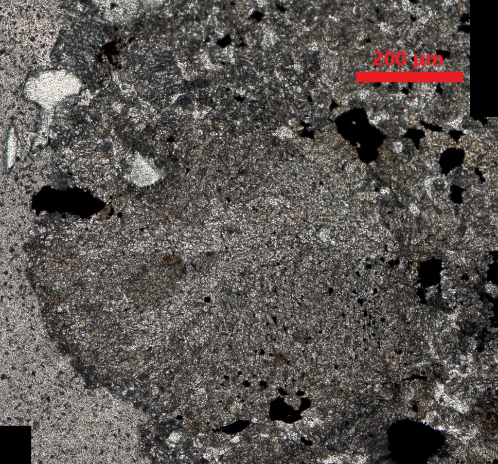 Pahljačasta piroksenova hondrula. Interferenčne barve so slabo vidne, ker je vzorec pretanek.