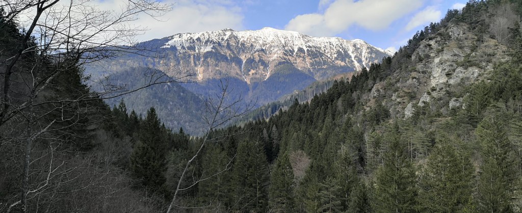 Begunjščica iz gradu Kamen