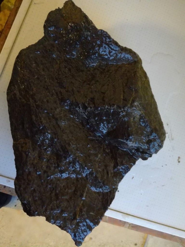 Janez T. / ni magneten