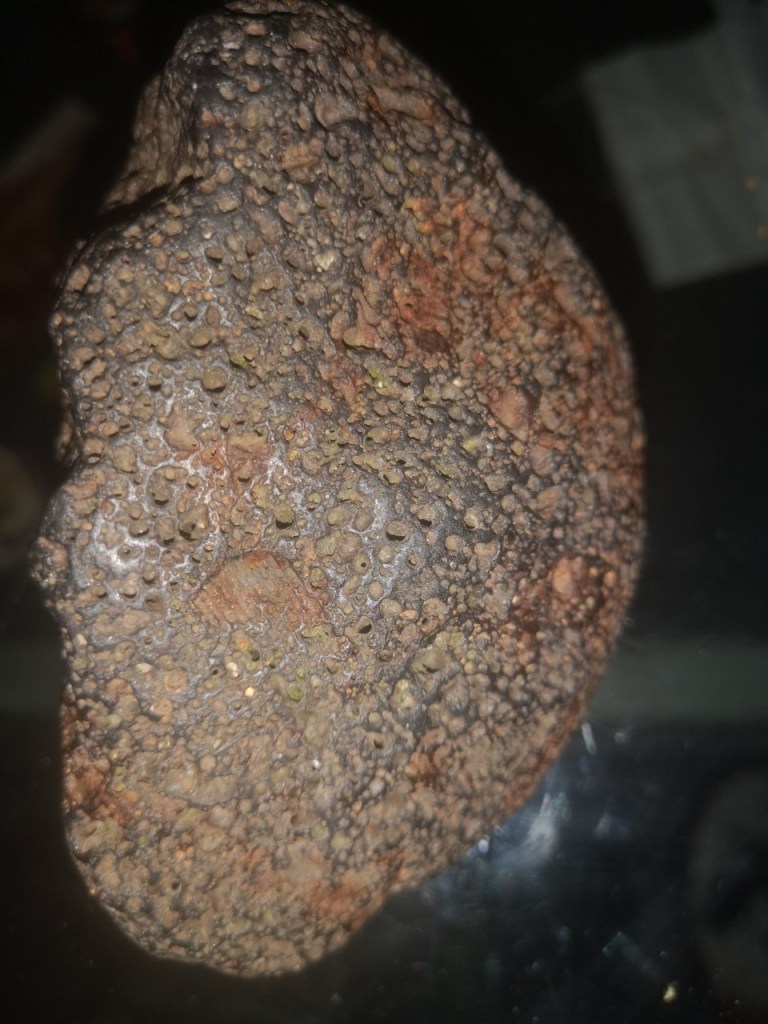 Niko P. / Železova ruda